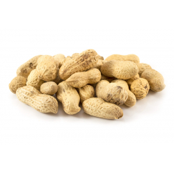 Premium Monkey Nuts In Shell 12.5kg